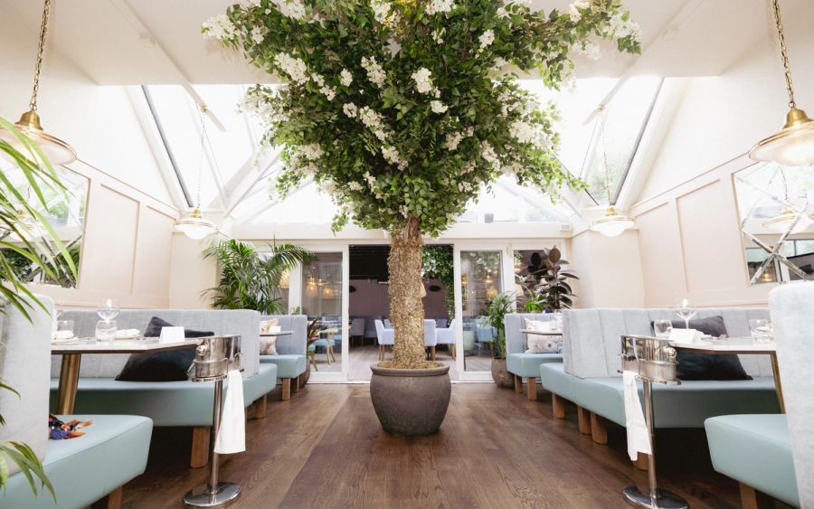 Piccolino Marlow