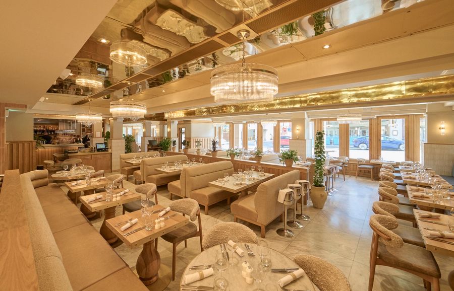 Piccolino Chester