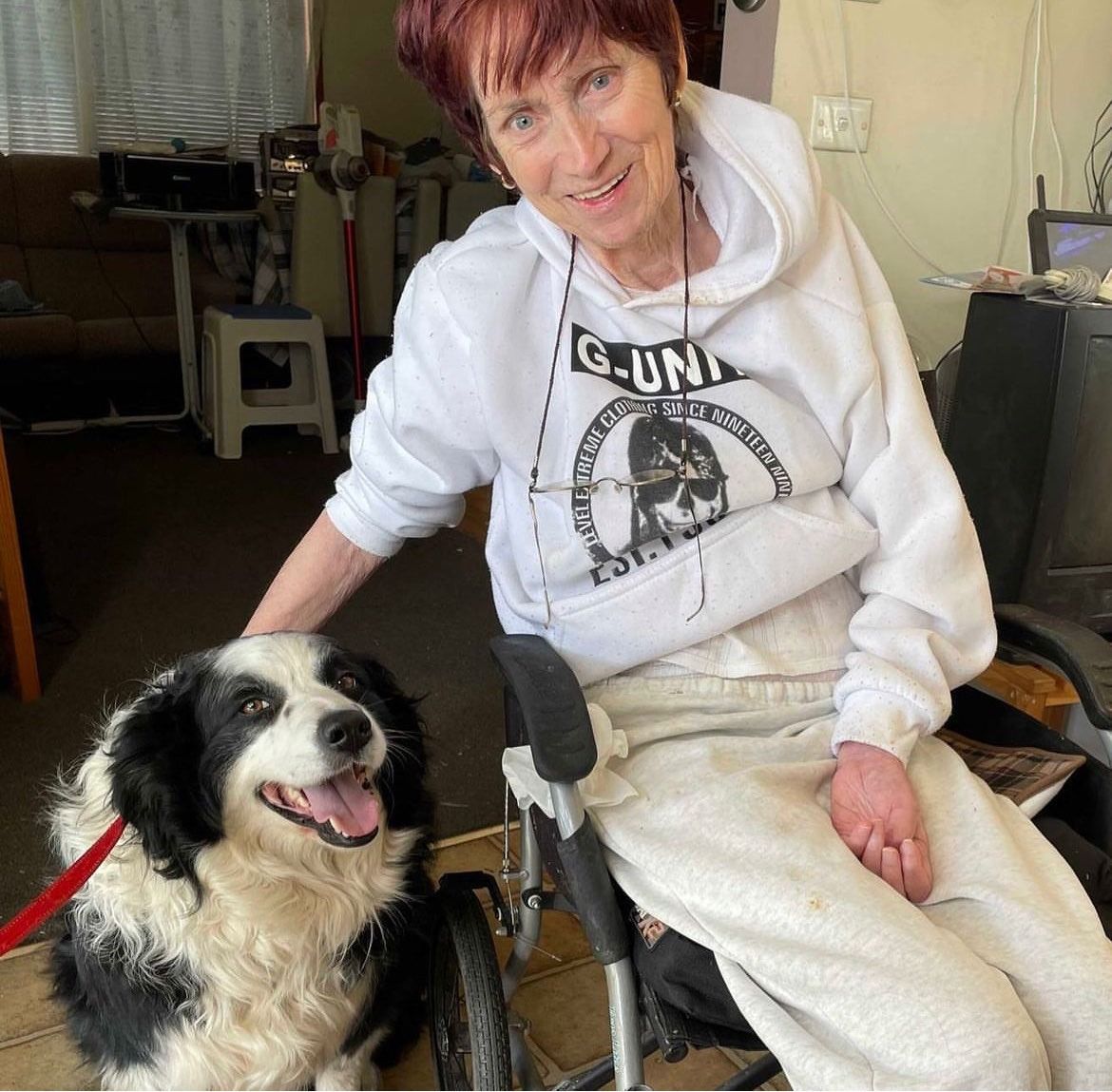 female with dog in wheel chair