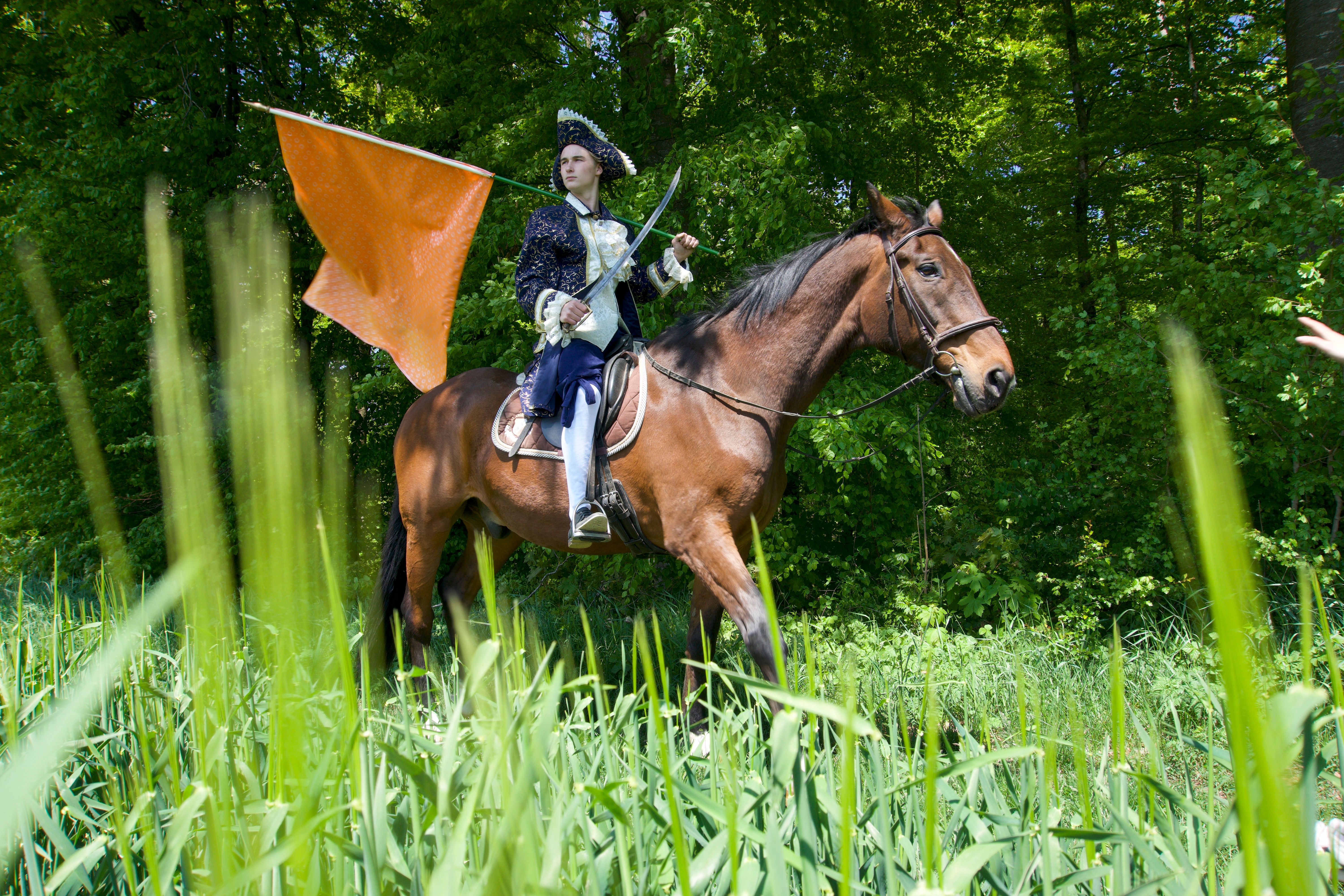 Napoleon Staging