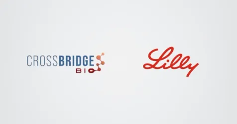 Lilly to Acquire CrossBridge Bio in $300 Million Deal