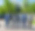 Treepz Launches in Canada