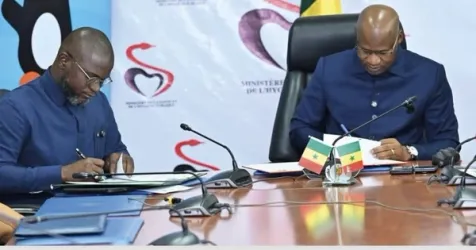Senegal Partners With Wave to Digitize Healthcare Payments