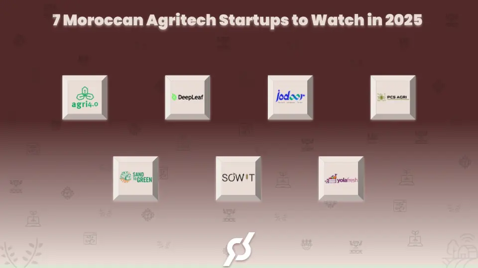 List of 7 Moroccan Agritech Startups