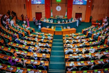 Nigeria Moves to Create Single Fintech Regulator