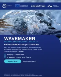 Innovators discussing blue economy solutions against a coastal backdrop.