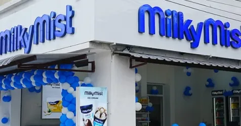Milky Mist Secures Rs 482 Crore in Pre-IPO Funding Led by Temasek