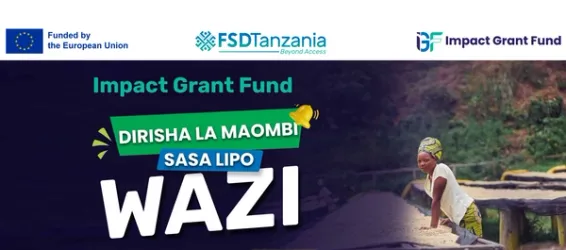 A group of diverse Tanzanian entrepreneurs collaborating in a workshop setting.