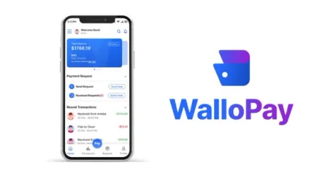 Wallo Pay Tackles High Transaction Fees with Open Banking