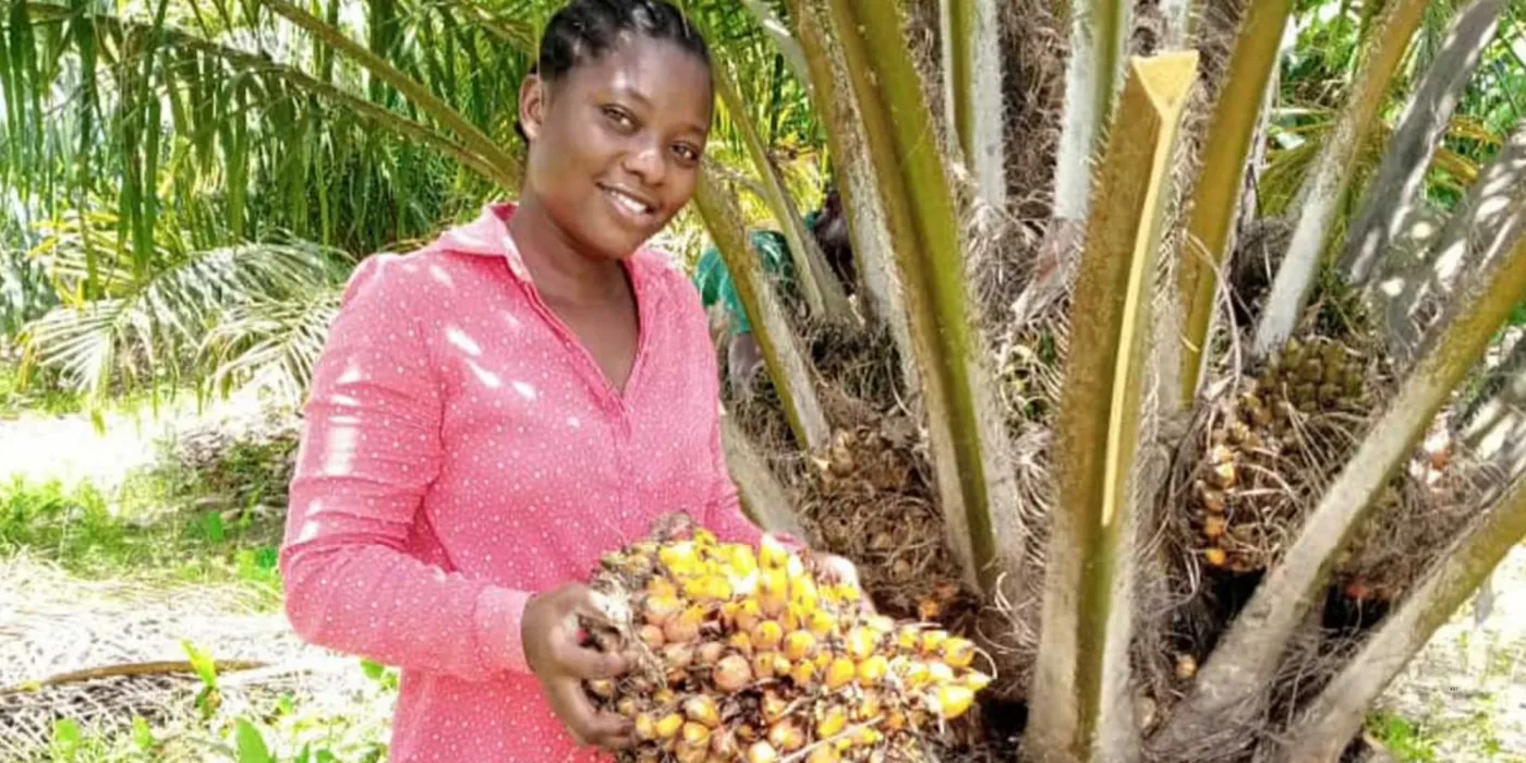 Mariseth Farms Raises $1 Million to Expand Smallholder