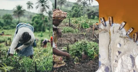 A group of diverse entrepreneurs collaborating on climate tech solutions in Africa.