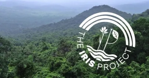 A diverse group of young environmentalists working together on a nature restoration project.