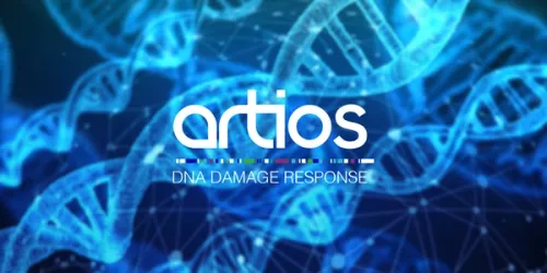 Artios Raises $115 Million to Advance DDR Cancer Therapies
