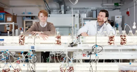 Volta Greentech Raises $2M to Launch Methane-Reducing Cow Feed