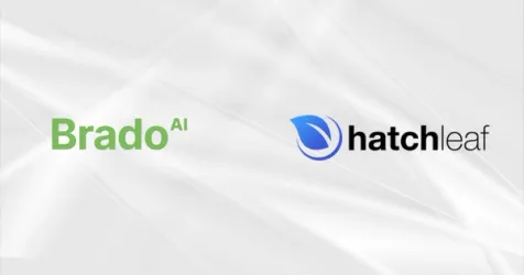 Brado AI Acquires ProviderIQ for Precision Patient Matching