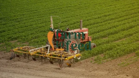 Farm to Feed Raises $1.5 million