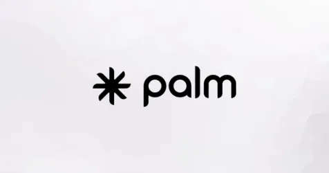 Amex Ventures Invests in Business Identity Platform Palm
