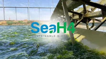 SeaH4 Wins ClimateLaunchpad 2025