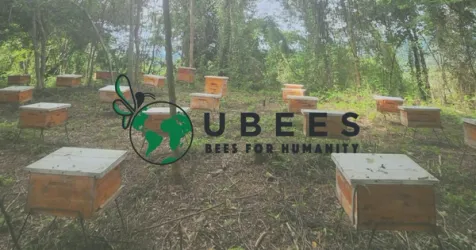 UBEES Raises $9.4 Million to Scale Pollination-Driven Agriculture