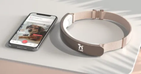 Traini Raises $7.5 Million to Develop AI Pet Translator