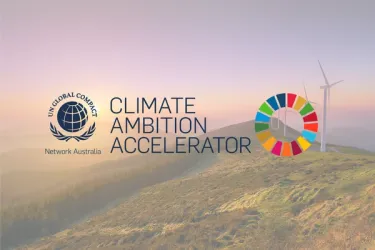 Professionals in a workshop discussing strategies for achieving net-zero emissions.