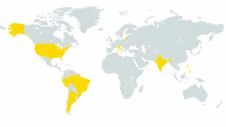 Western Union Global Fellowship 2026 | Watson Institute