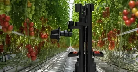 Egrobots Launches First Autonomous Farm Robot Built in Egypt