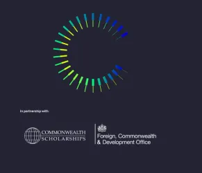 Commonwealth Startup Fellowship