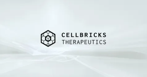 Cellbricks Raises $11.5M to 3D Print Living Human Tissue