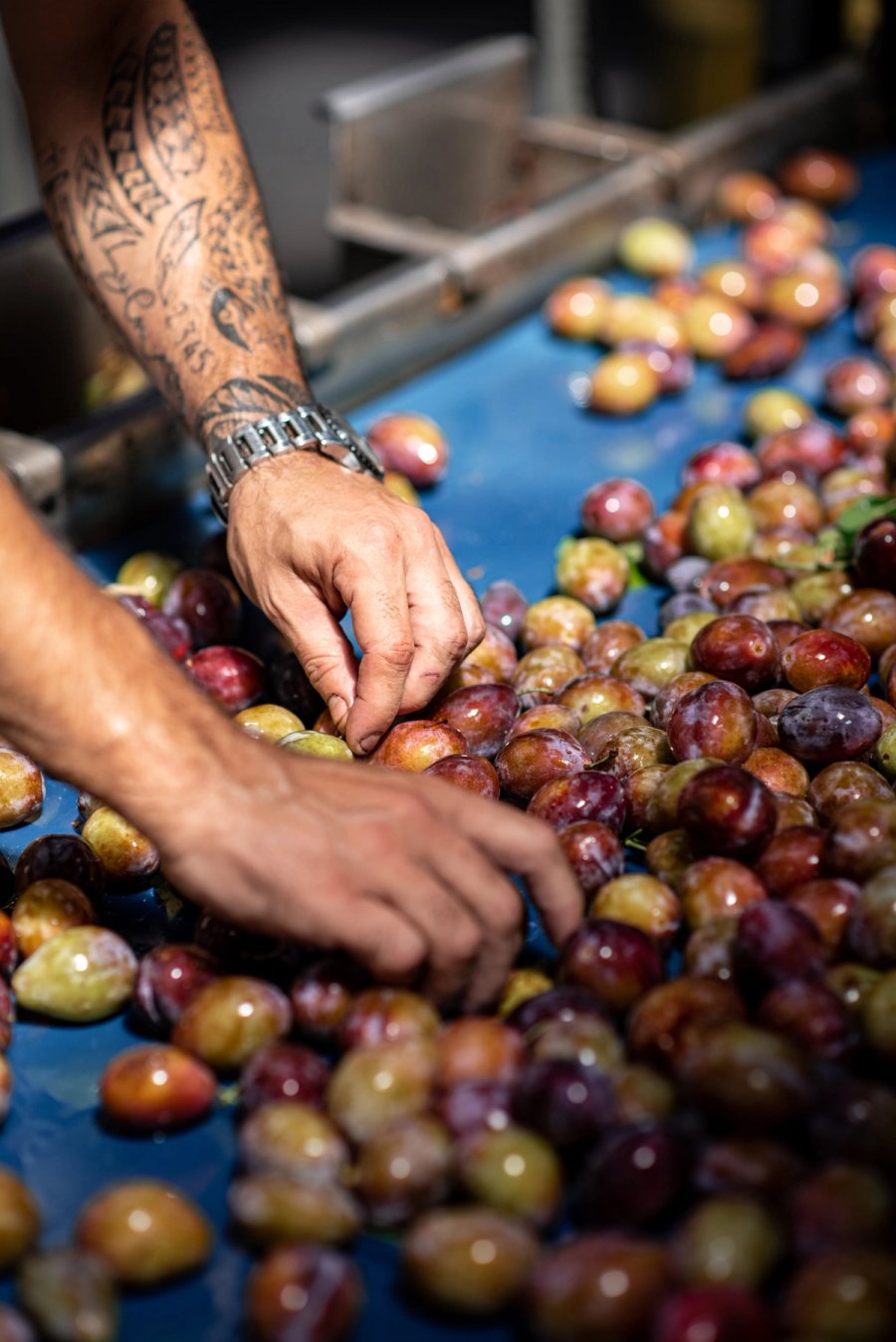 food À manger — Anatole Gonon, photographe