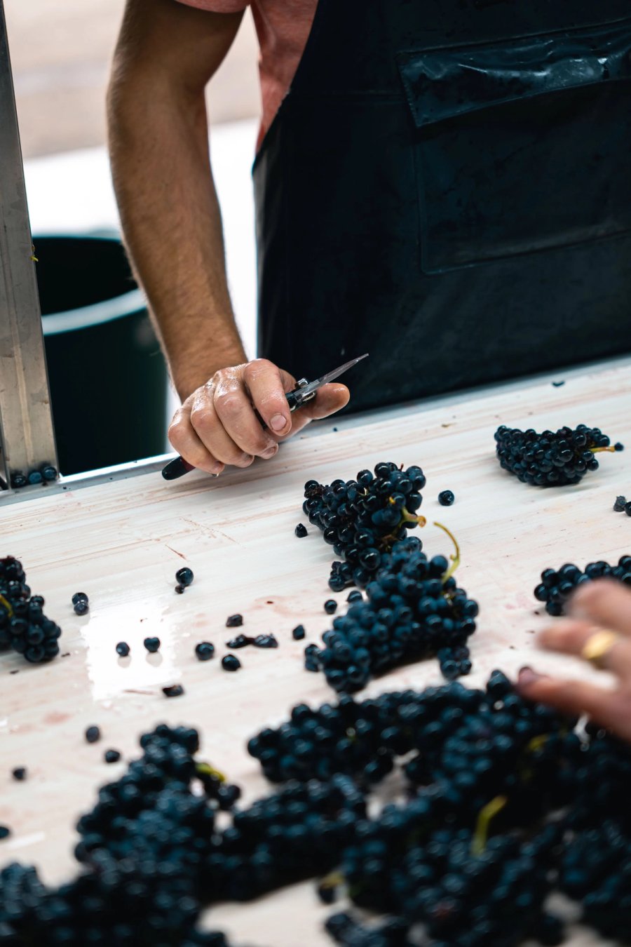 food À boire — Anatole Gonon, photographe