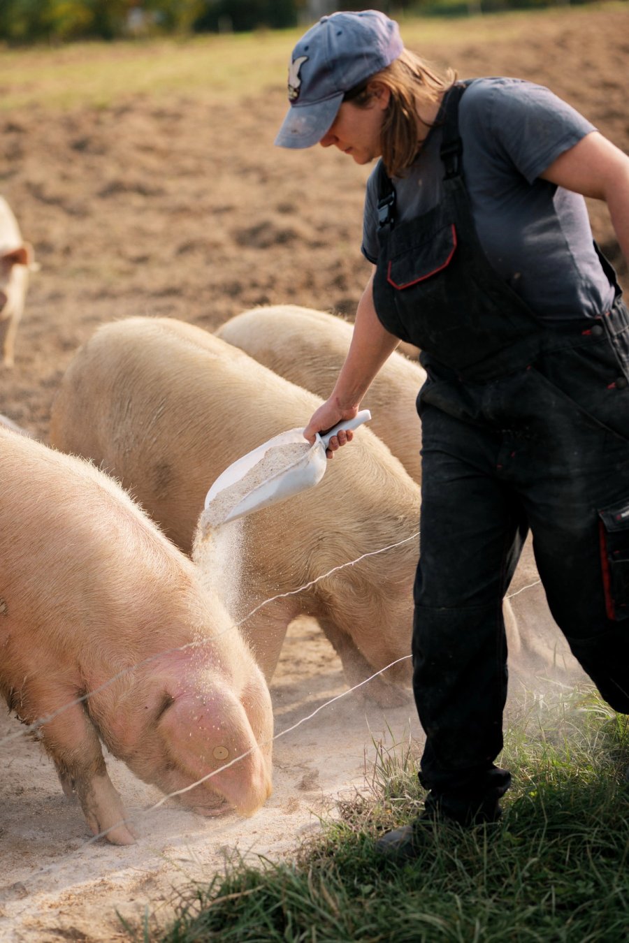 food À manger — Anatole Gonon, photographe