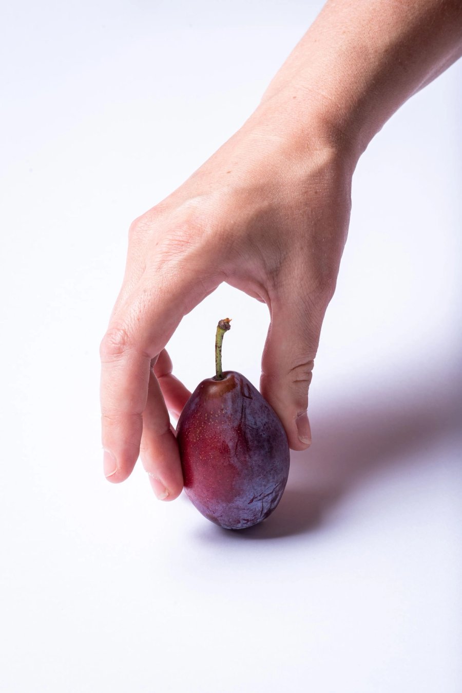 food studio — Anatole Gonon, photographe