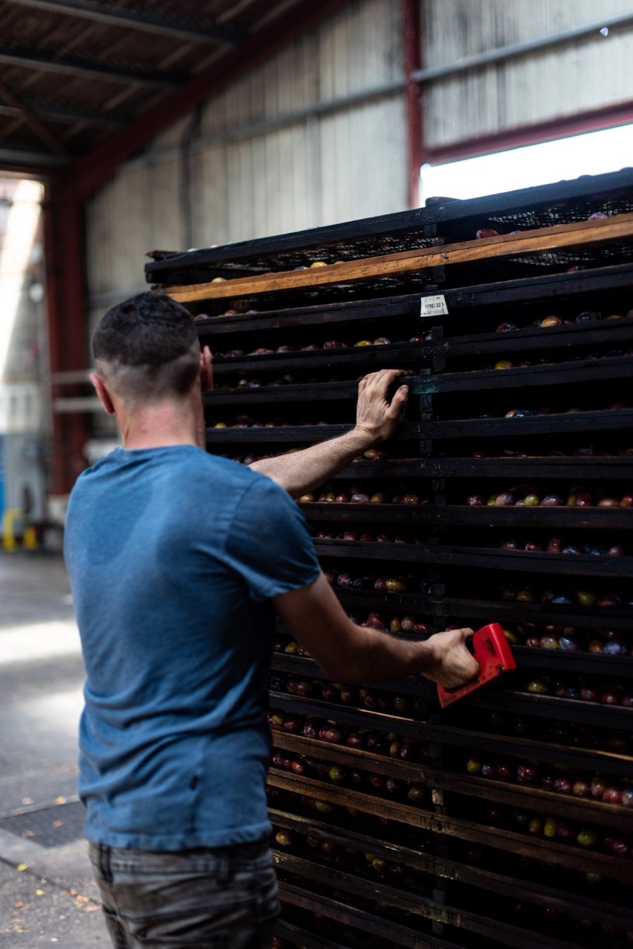 food À manger — Anatole Gonon, photographe