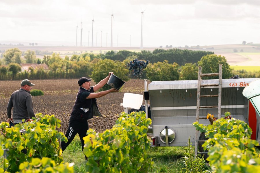 food À boire — Anatole Gonon, photographe