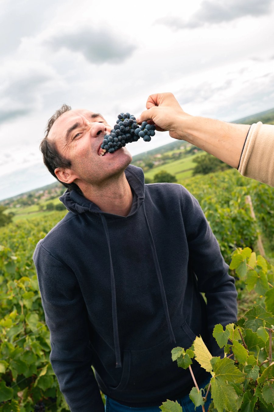 food À boire — Anatole Gonon, photographe