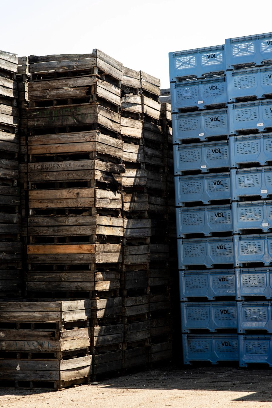 food À manger — Anatole Gonon, photographe