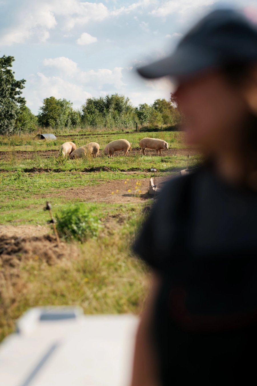 food À manger — Anatole Gonon, photographe