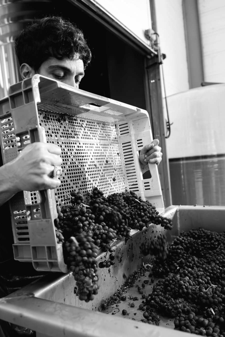 food À boire — Anatole Gonon, photographe