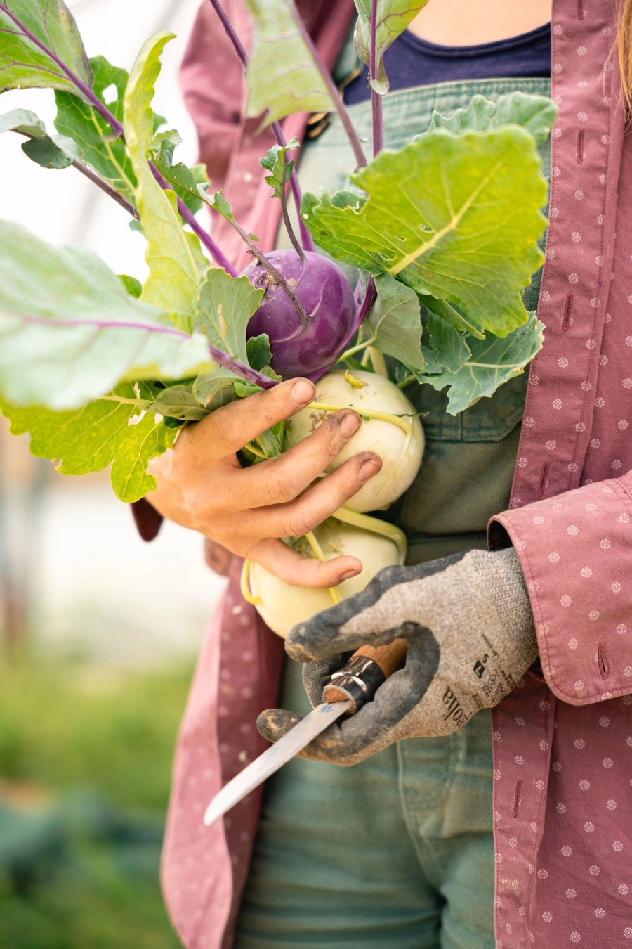 food À manger — Anatole Gonon, photographe