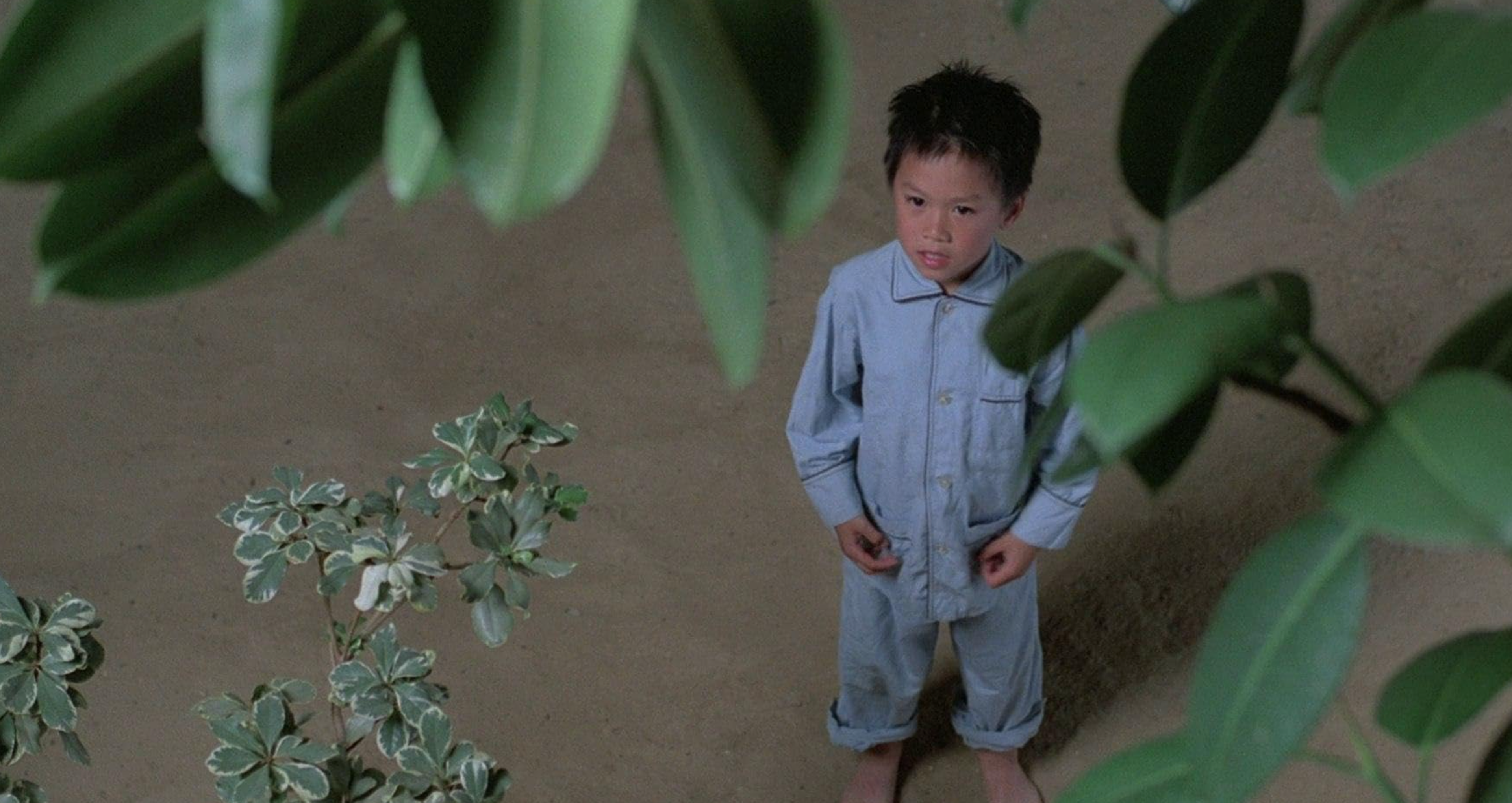 scent of green papaya 