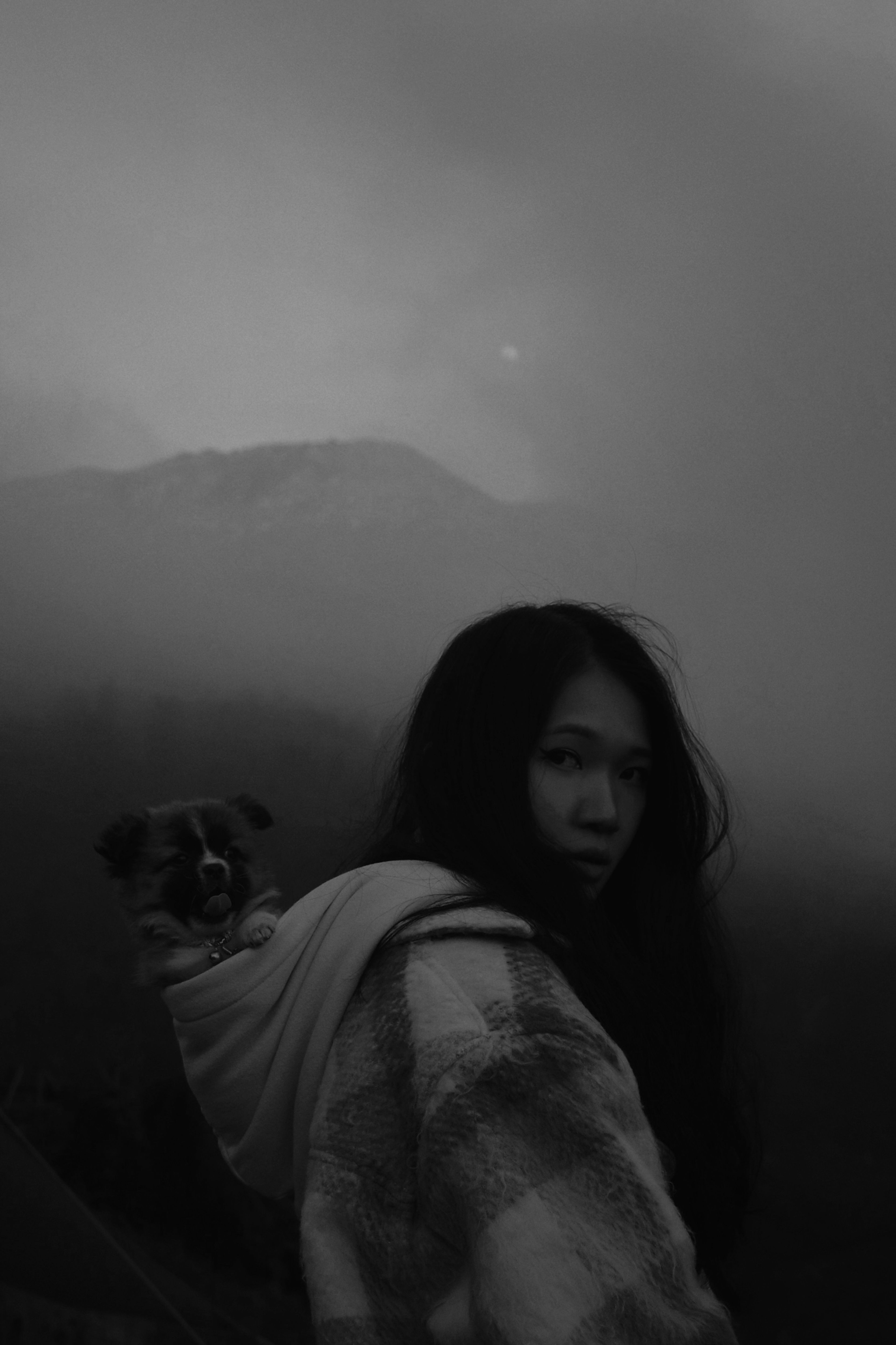 dan linh nguyen vietnaese