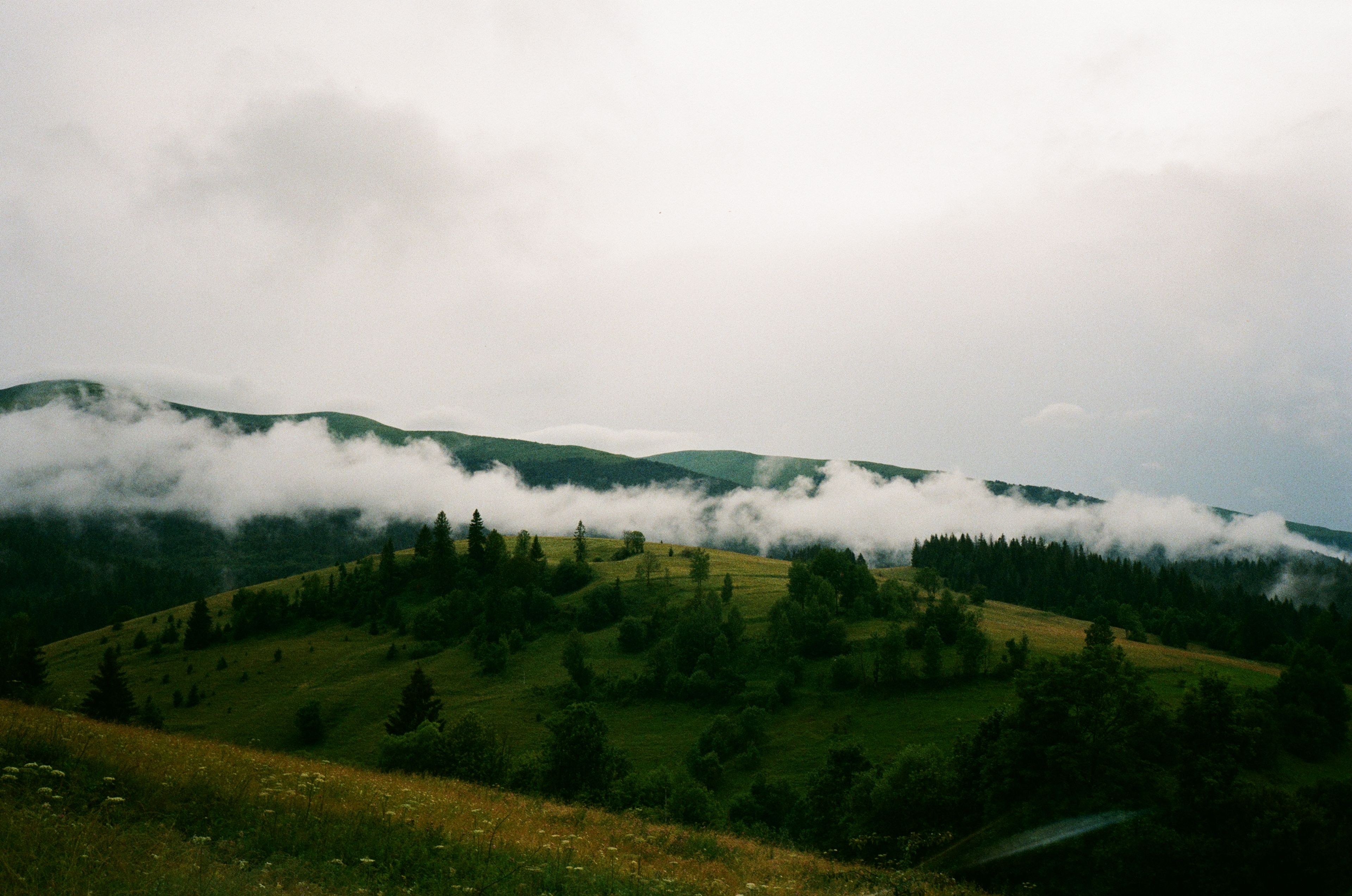 ukraine landscape