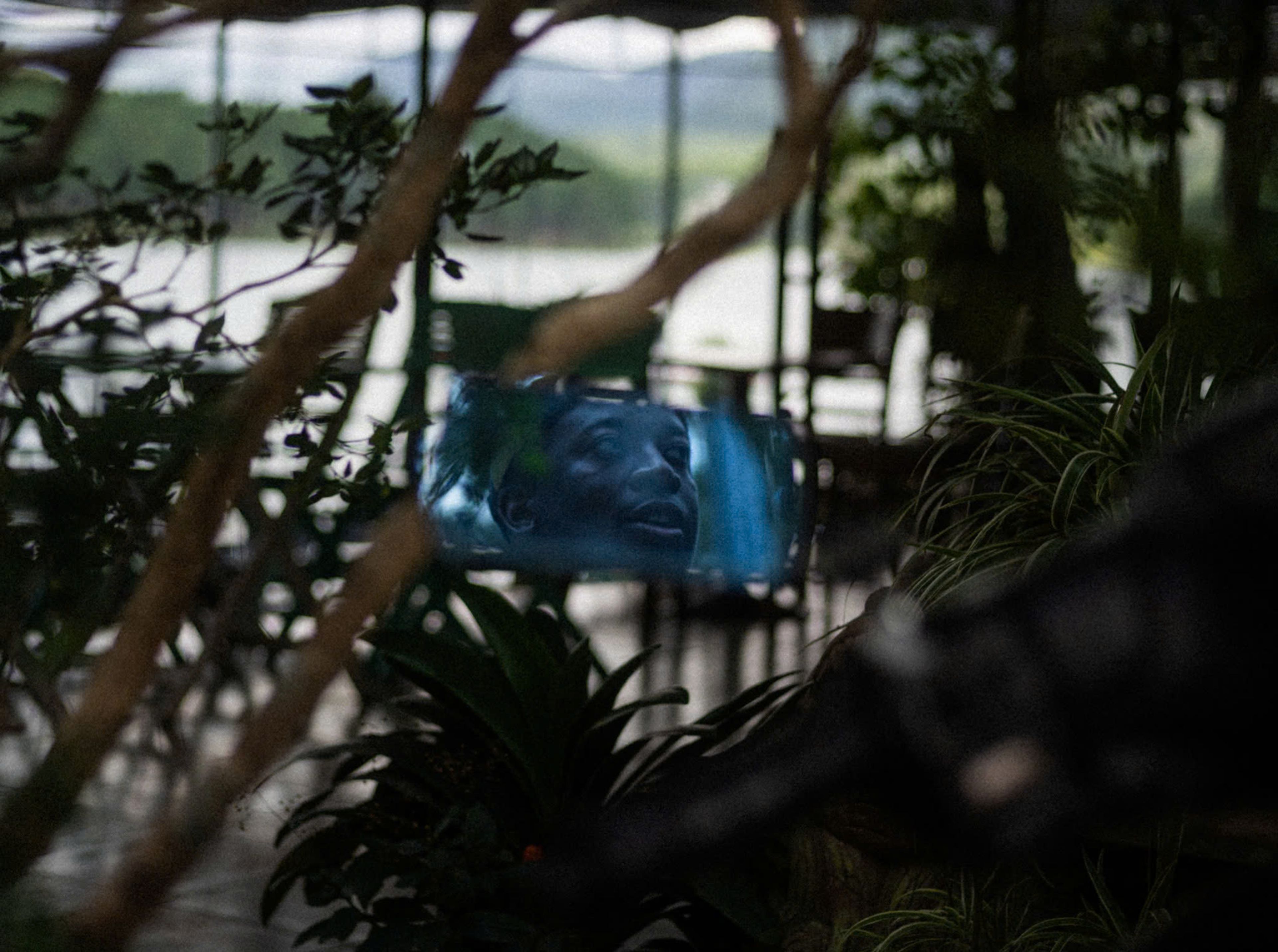 man in the mirror jungle saigon