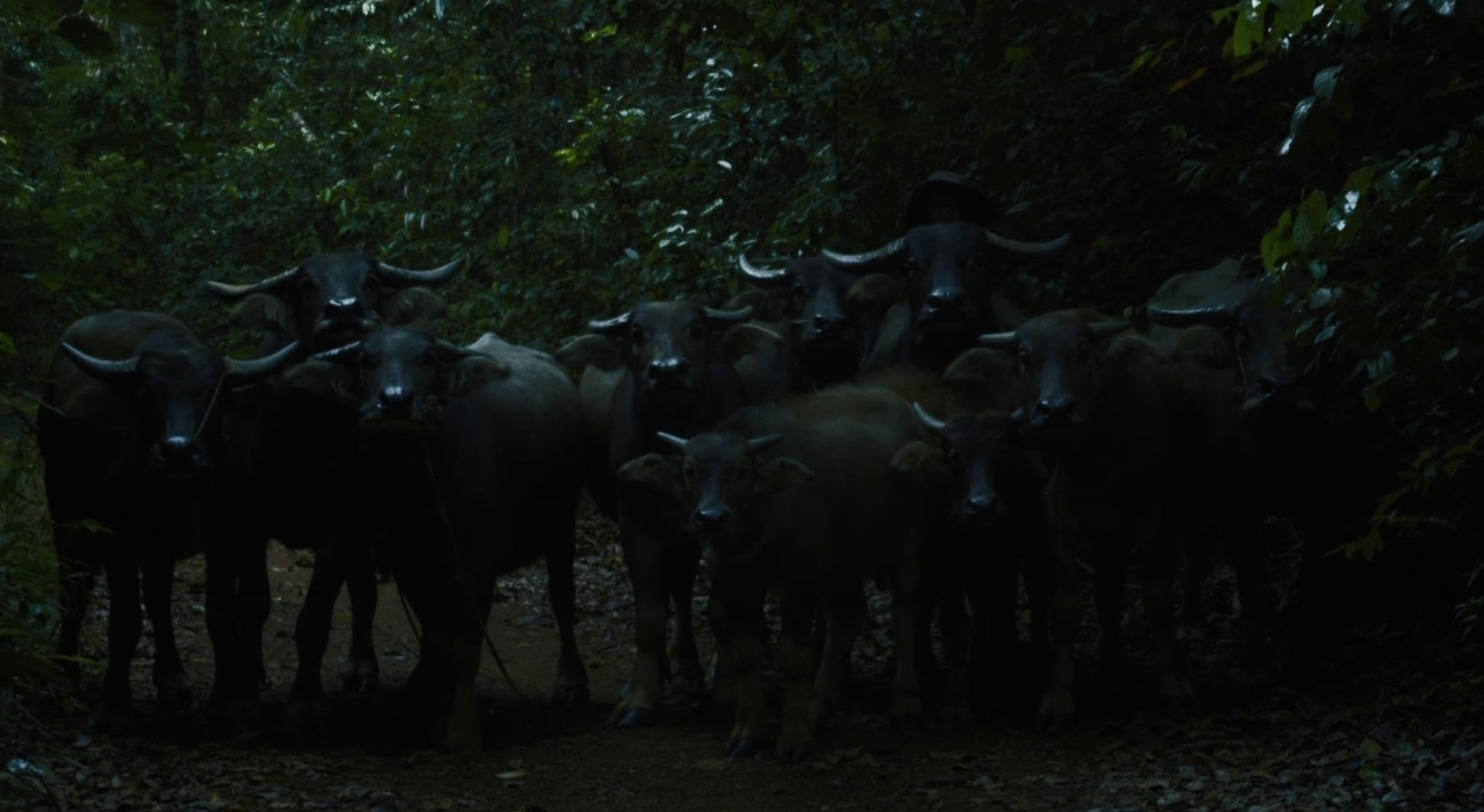 Inside The Yellow Cocoon Shell​​​​‌﻿‍﻿​‍​‍‌‍﻿﻿‌﻿​‍‌‍‍‌‌‍‌﻿‌‍‍‌‌‍﻿‍​‍​‍​﻿‍‍​‍​‍‌﻿​﻿‌‍​‌‌‍﻿‍‌‍‍‌‌﻿‌​‌﻿‍‌​‍﻿‍‌‍‍‌‌‍﻿﻿​‍​‍​‍﻿​​‍​‍‌‍‍​‌﻿​‍‌‍‌‌‌‍‌‍​‍​‍​﻿‍‍​‍​‍​‍﻿﻿‌﻿​﻿‌﻿‌​‌﻿‌‌‌‍‌​‌‍‍‌‌‍﻿﻿​‍﻿﻿‌‍‍‌‌‍﻿‍‌﻿‌​‌‍‌‌‌‍﻿‍‌﻿‌​​‍﻿﻿‌‍‌‌‌‍‌​‌‍‍‌‌﻿‌​​‍﻿﻿‌‍﻿‌‌‍﻿﻿‌‍‌​‌‍‌‌​﻿﻿‌‌﻿​​‌﻿​‍‌‍‌‌‌﻿​﻿‌‍‌‌‌‍﻿‍‌﻿‌​‌‍​‌‌﻿‌​‌‍‍‌‌‍﻿﻿‌‍﻿‍​﻿‍﻿‌‍‍‌‌‍‌​​﻿﻿‌​﻿​‌​﻿​﻿​﻿‌‌​﻿‍​​﻿‌﻿‌‍​﻿​﻿‌﻿​﻿‌​​‍﻿‌​﻿‌‍‌‍‌‌​﻿‌‍​﻿‍‌​‍﻿‌​﻿‌​‌‍​‍​﻿‌‌​﻿‍‌​‍﻿‌​﻿‍​​﻿‌﻿‌‍‌​​﻿‍‌​‍﻿‌‌‍‌‍​﻿​﻿​﻿‌﻿​﻿‍​​﻿‌‍​﻿​‌​﻿​‌​﻿‌‍​﻿‌‍‌‍‌‍‌‍​﻿‌‍​﻿​﻿‍﻿‌﻿‌​‌﻿‍‌‌﻿​​‌‍‌‌​﻿﻿‌‌﻿​​‌‍﻿﻿‌﻿​﻿‌﻿‌​​﻿‍﻿‌﻿​​‌‍​‌‌﻿‌​‌‍‍​​﻿﻿‌‌‍​﻿‌‍﻿﻿‌‍﻿‍‌﻿‌​‌‍‌‌‌‍﻿‍‌﻿‌​​‍‌‌​﻿‌‌‌​​‍‌‌﻿﻿‌‍‍﻿‌‍‌‌‌﻿‍‌​‍‌‌​﻿​﻿‌​‌​​‍‌‌​﻿​﻿‌​‌​​‍‌‌​﻿​‍​﻿​‍​﻿​﻿​﻿‌​​﻿​​​﻿‍‌​﻿‍‌​﻿​﻿​﻿​‌​﻿​‍‌‍​﻿‌‍‌‌​﻿​﻿‌‍‌‌​‍‌‌​﻿​‍​﻿​‍​‍‌‌​﻿‌‌‌​‌​​‍﻿‍‌‍​‌‌‍﻿​‌﻿‌​​﻿﻿﻿‌‍​‍‌‍​‌‌﻿​﻿‌‍‌‌‌‌‌‌‌﻿​‍‌‍﻿​​﻿﻿‌​‍‌‌​﻿​‍‌​‌‍‌﻿​﻿‌﻿‌​‌﻿‌‌‌‍‌​‌‍‍‌‌‍﻿﻿​‍‌‍‌‍‍‌‌‍‌​​﻿﻿‌​﻿​‌​﻿​﻿​﻿‌‌​﻿‍​​﻿‌﻿‌‍​﻿​﻿‌﻿​﻿‌​​‍﻿‌​﻿‌‍‌‍‌‌​﻿‌‍​﻿‍‌​‍﻿‌​﻿‌​‌‍​‍​﻿‌‌​﻿‍‌​‍﻿‌​﻿‍​​﻿‌﻿‌‍‌​​﻿‍‌​‍﻿‌‌‍‌‍​﻿​﻿​﻿‌﻿​﻿‍​​﻿‌‍​﻿​‌​﻿​‌​﻿‌‍​﻿‌‍‌‍‌‍‌‍​﻿‌‍​﻿​‍‌‍‌﻿‌​‌﻿‍‌‌﻿​​‌‍‌‌​﻿﻿‌‌﻿​​‌‍﻿﻿‌﻿​﻿‌﻿‌​​‍‌‍‌﻿​​‌‍​‌‌﻿‌​‌‍‍​​﻿﻿‌‌‍​﻿‌‍﻿﻿‌‍﻿‍‌﻿‌​‌‍‌‌‌‍﻿‍‌﻿‌​​‍‌‌​﻿‌‌‌​​‍‌‌﻿﻿‌‍‍﻿‌‍‌‌‌﻿‍‌​‍‌‌​﻿​﻿‌​‌​​‍‌‌​﻿​﻿‌​‌​​‍‌‌​﻿​‍​﻿​‍​﻿​﻿​﻿‌​​﻿​​​﻿‍‌​﻿‍‌​﻿​﻿​﻿​‌​﻿​‍‌‍​﻿‌‍‌‌​﻿​﻿‌‍‌‌​‍‌‌​﻿​‍​﻿​‍​‍‌‌​﻿‌‌‌​‌​​‍﻿‍‌‍​‌‌‍﻿​‌﻿‌​​‍​‍‌﻿﻿‌