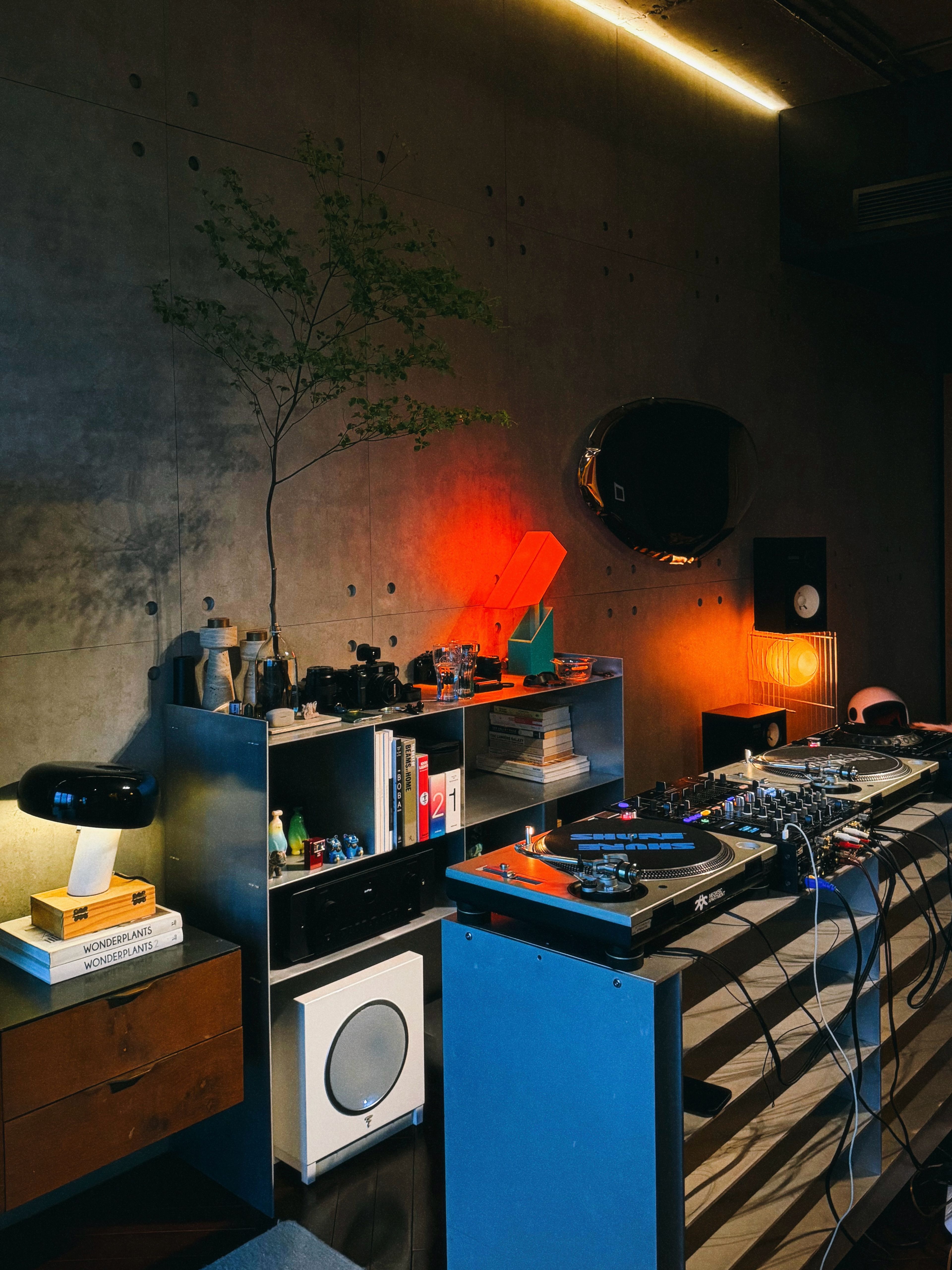 music apartment cat