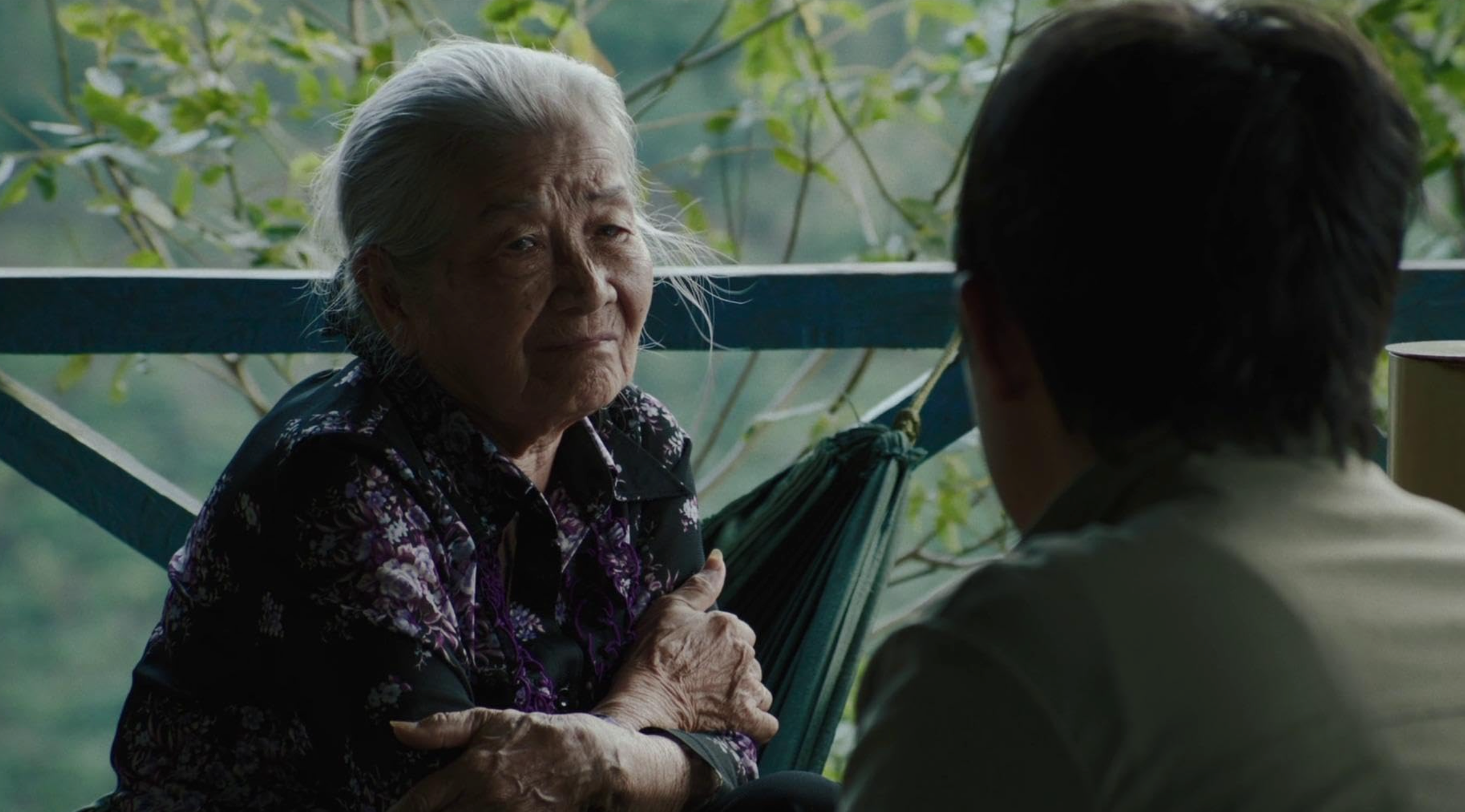 Inside The Yellow Cocoon Shell