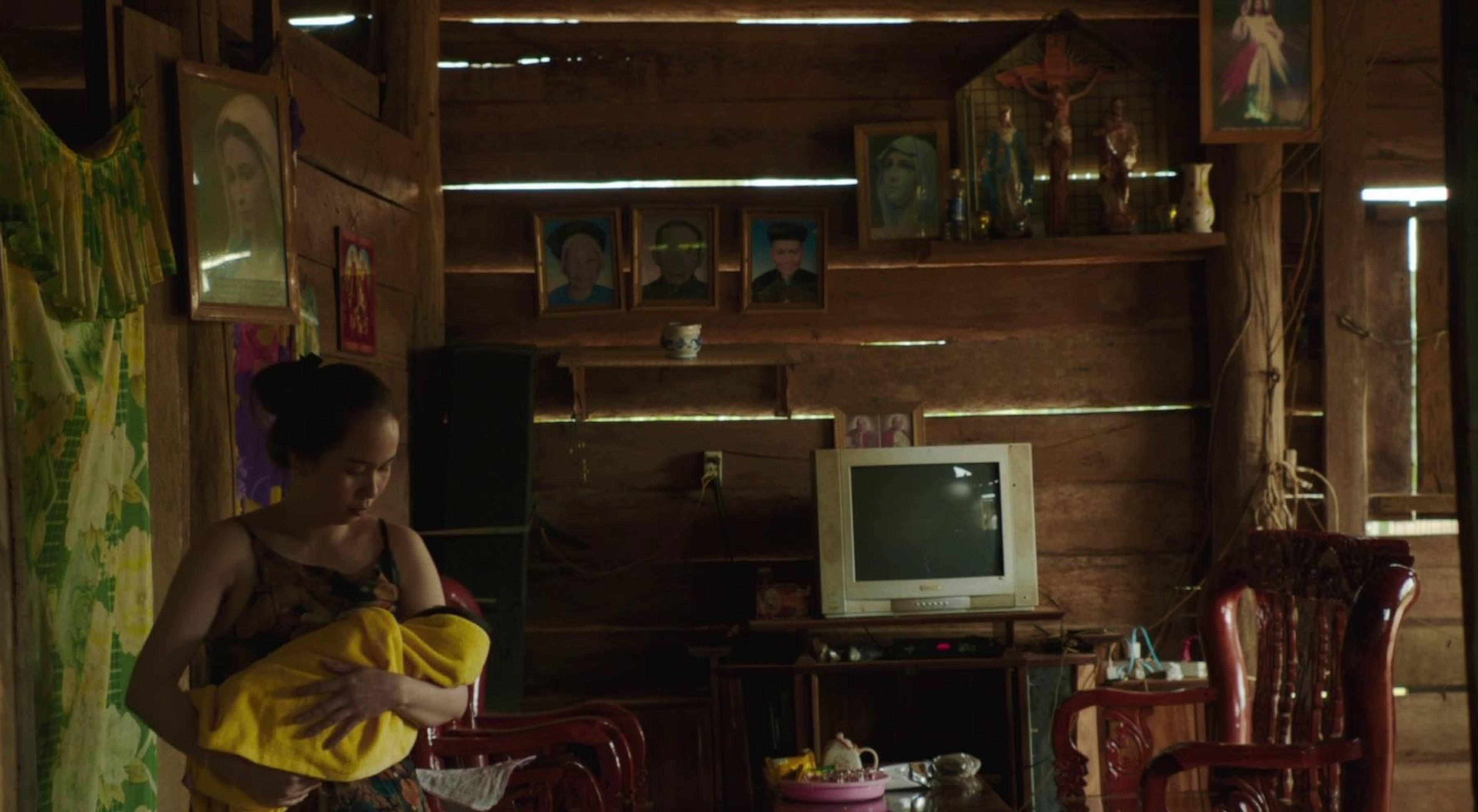 Inside The Yellow Cocoon Shell 