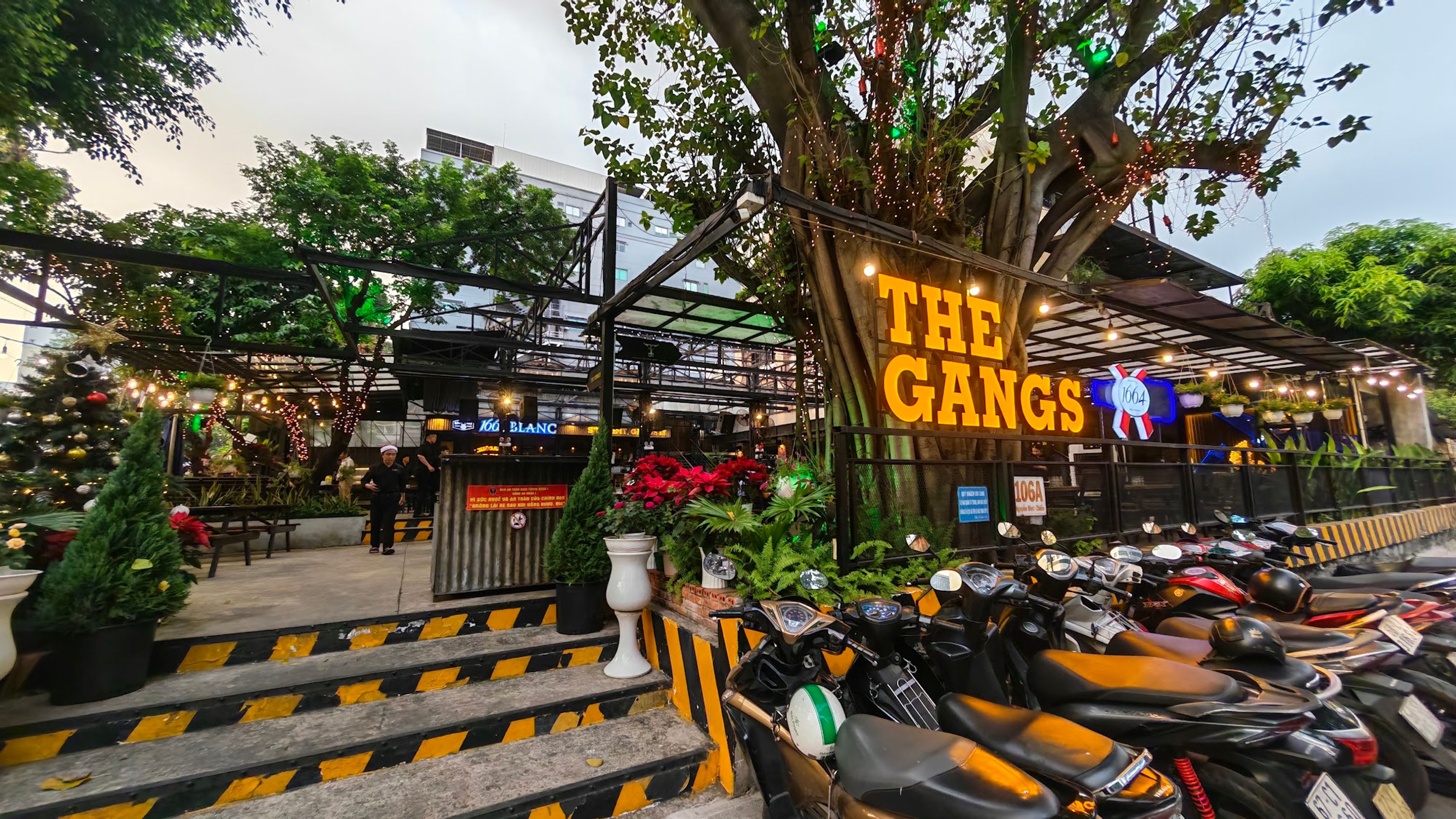 the gangs vietnam
