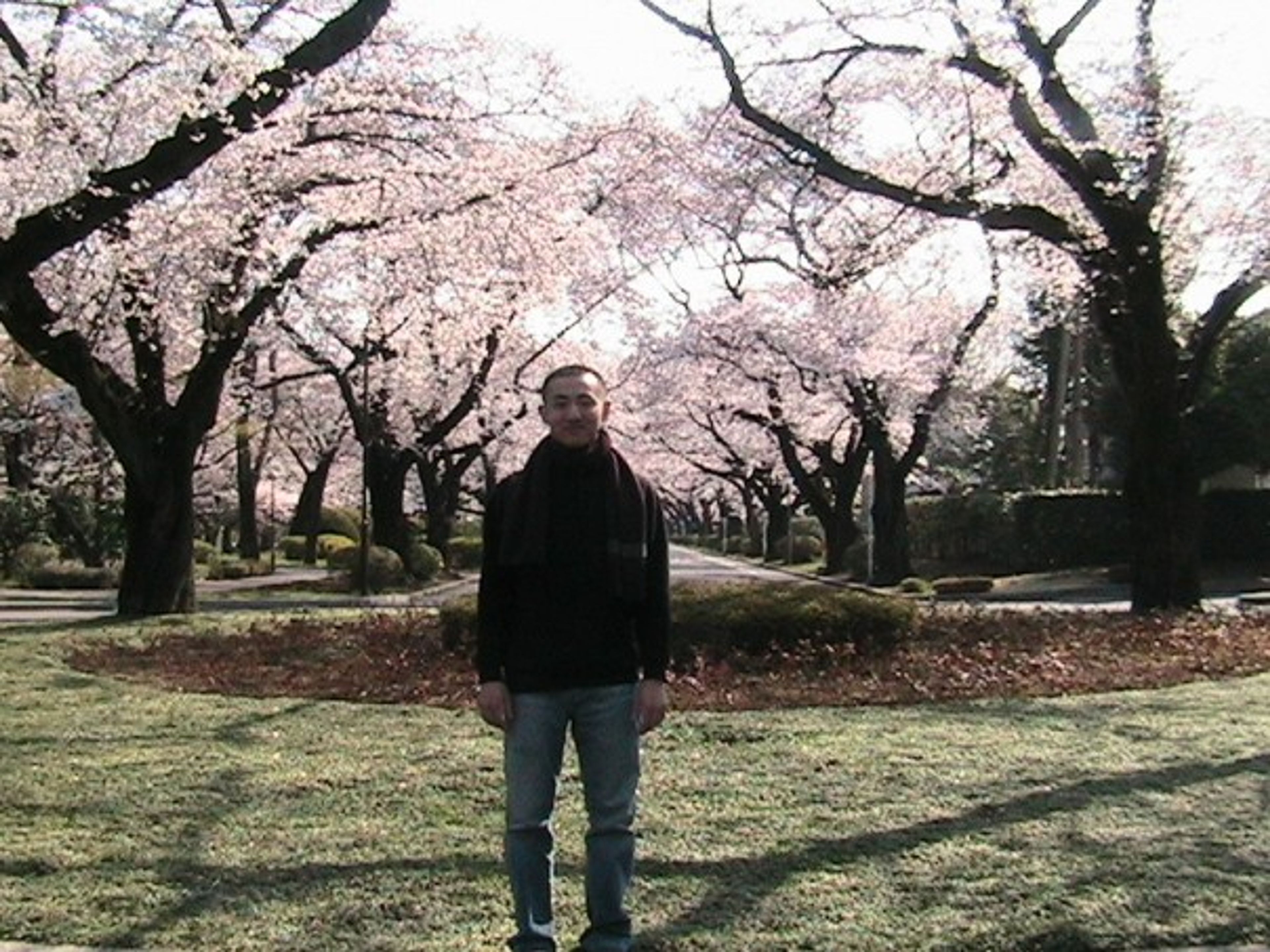 Tuan in Tokyo
